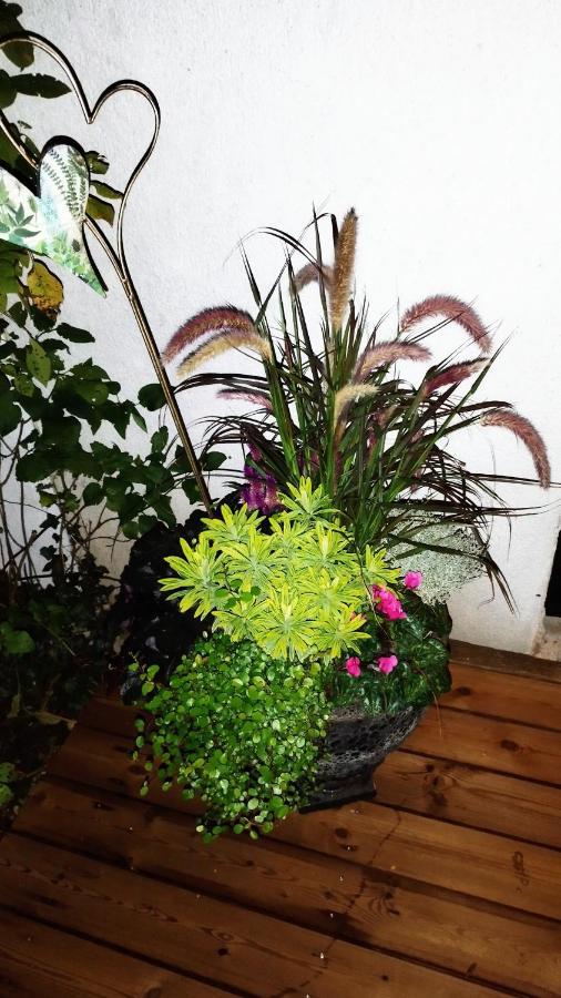 Luxuszelt Atelier&gardenhouse München