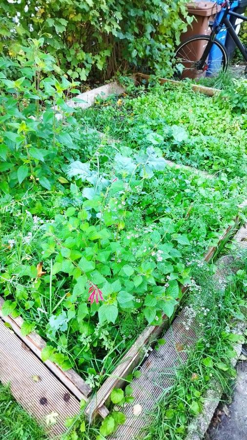 Luksusowy namiot Atelier & Gardenhouse Glamping Monachium